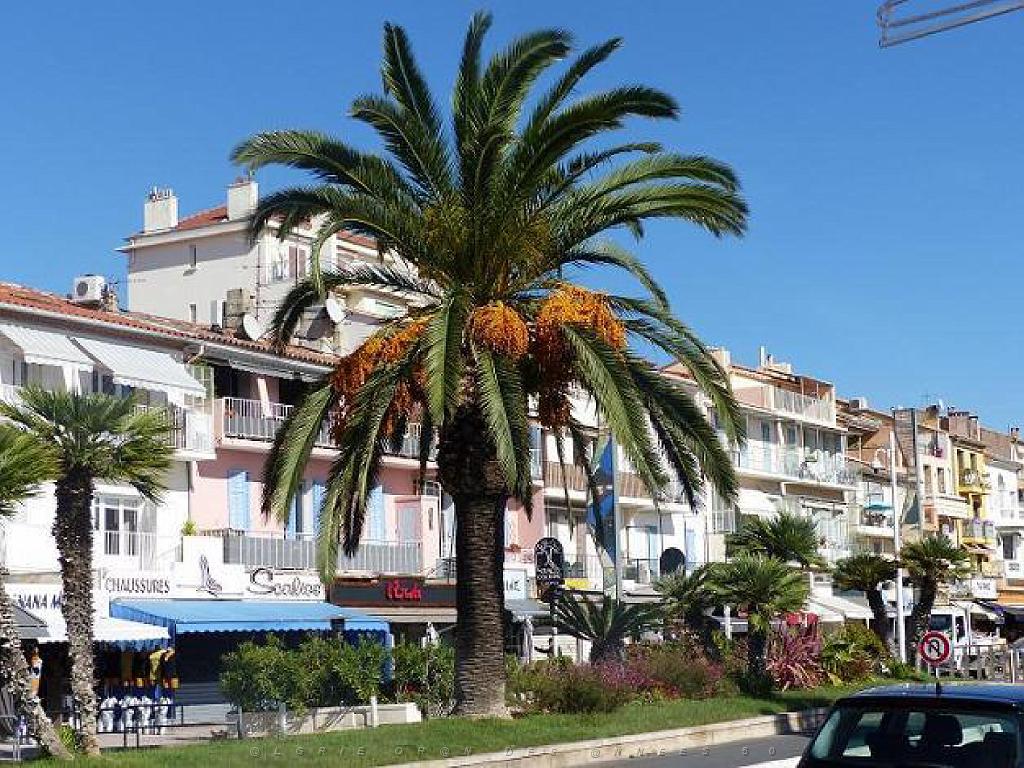 183 D16 BANDOL-1_000047.jpg